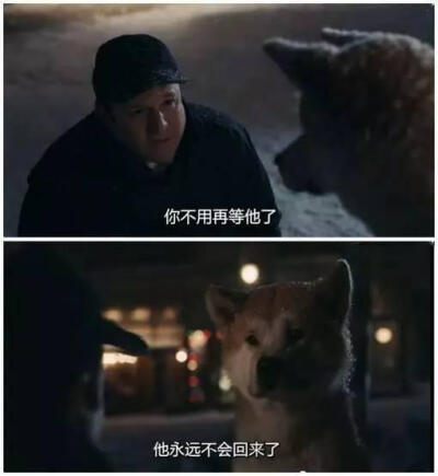 《忠犬八公的故事》