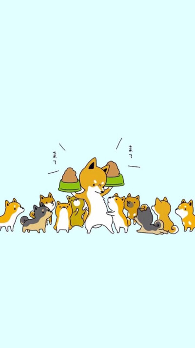 来来来，吃狗粮啦