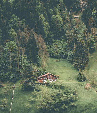 远方的风景 绿
林中小屋。做背景图