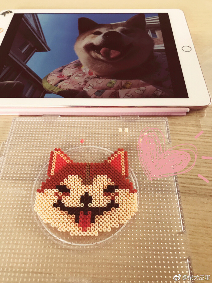 柴犬皮蛋拼豆67676767