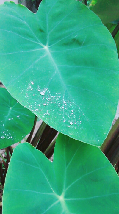 那天下的雨…