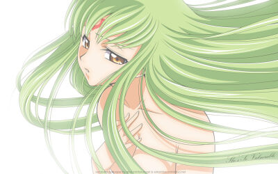 Code Geass 反叛的魯路修 [C.C]