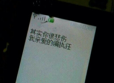 其实你很悲伤
我亲爱的偏执狂