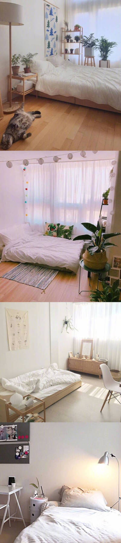 床