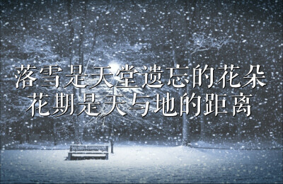 文字图 雪