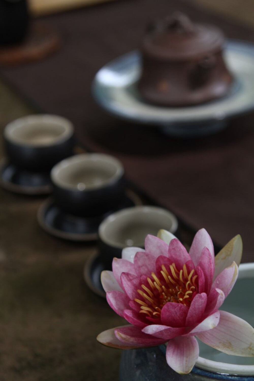 邂逅唐诗宋词里的“赏荷”意境。泛舟西湖，观花弄莲。叹一句，古人之优雅。
“江南可采莲，莲叶何田田。”
耳熟能详的一句“接天莲叶无穷碧，映日荷花别样红”生动地描绘出入夏荷塘的盛放之景，而王昌龄的那句“荷叶罗裙一色裁，芙蓉向脸两边开”则展现出邻家女子采莲的喜悦与灵气。
可是不，有了李清照的“红藕香残玉簟秋，轻解罗裳，独上兰舟”，赏荷，又平添了几许忧柔。
才下眉头，却上心头。