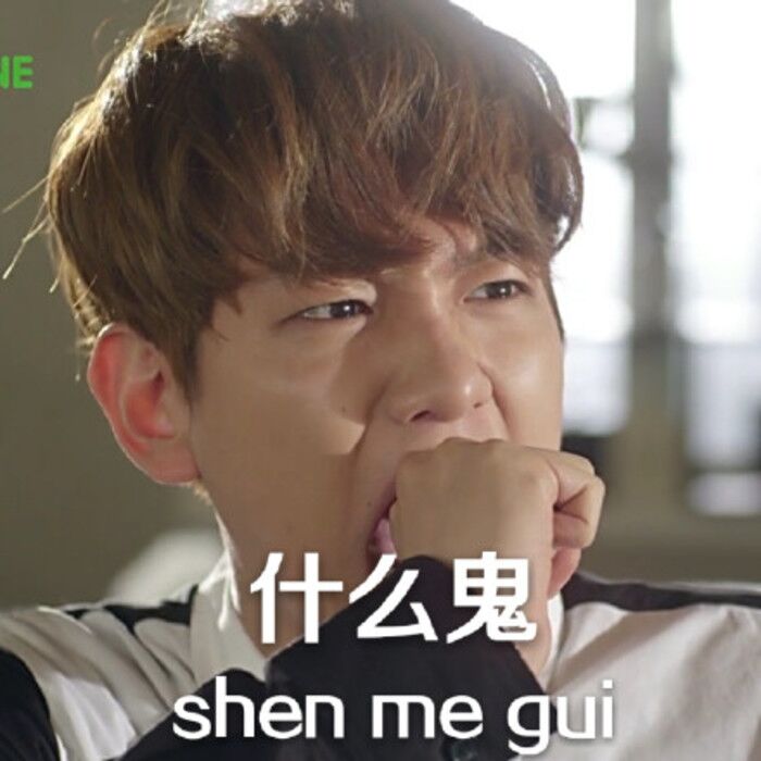 表情包搞笑搞怪exo边伯贤