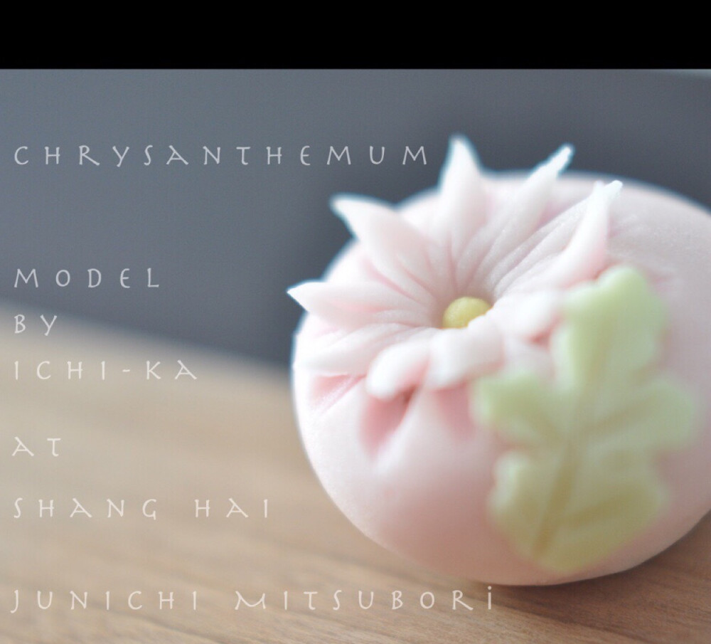 #JunichiMitsubori #wagashi #一日一菓 「 #菊 」 #煉切 製 wagashi of the day “ #Chrysanthemum ” #和菓子 #neriki #一菓流 #菓道 #上海 ​​​