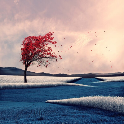 罗马尼亚摄影师 Caras Ionut ​​​​