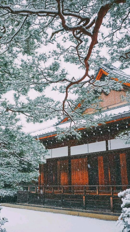 古风 故宫 雪景 壁纸