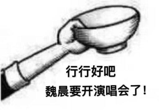 魏晨么么哒