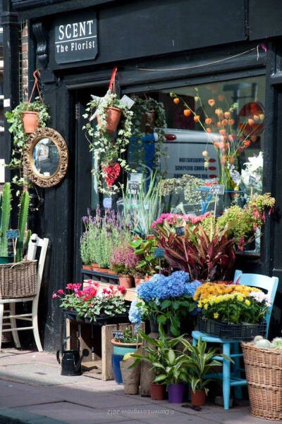 街角的花店 来自微博