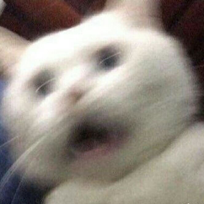 ๑乛 ̮ 乛๑吃鲸