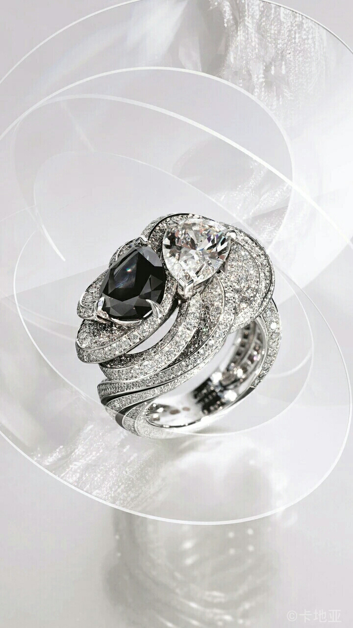 白色钻石衬托着神秘造物,黑白相称,孕育着力量与动感.@卡地亚