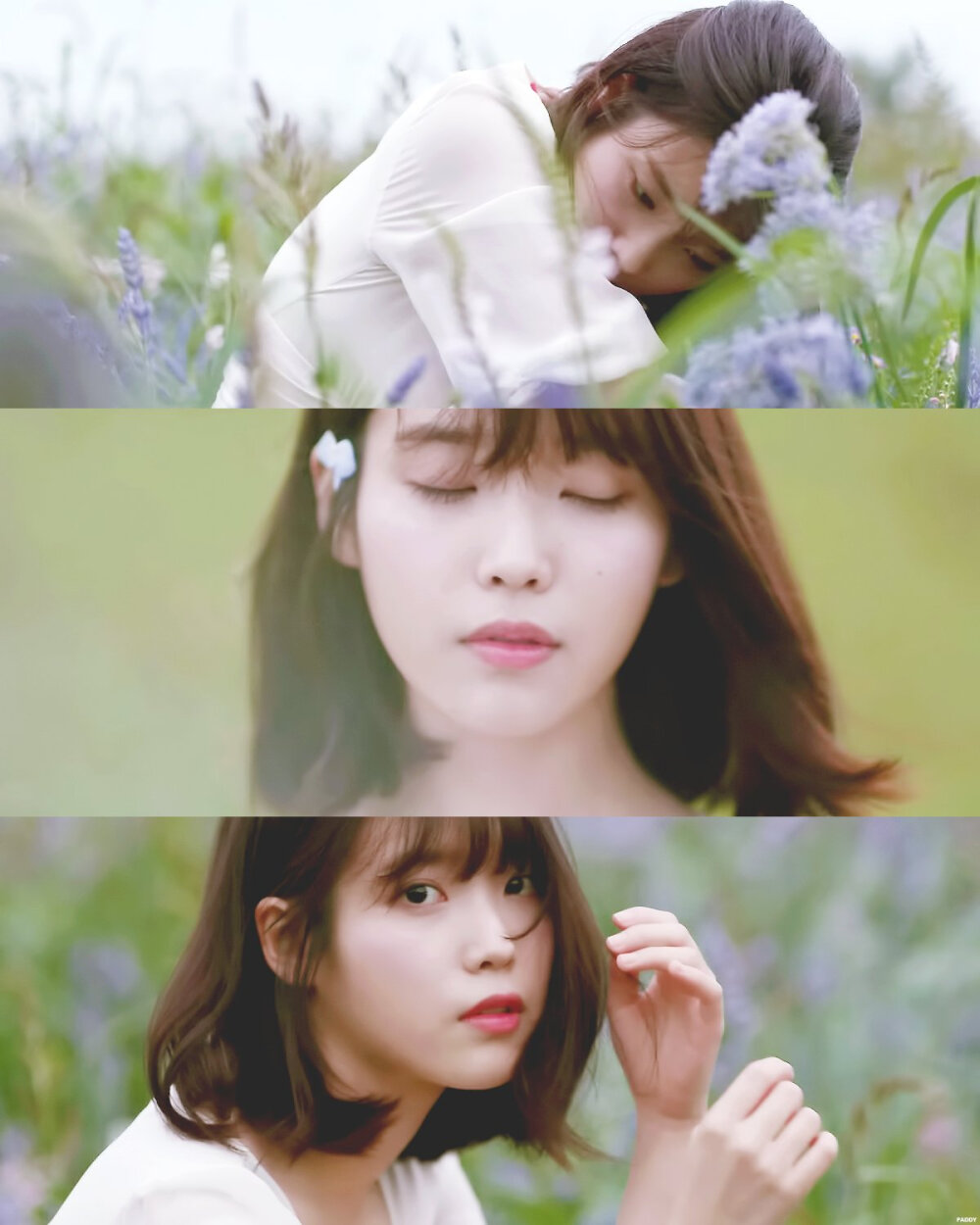 iu李知恩 花书签2 cr.padd_2 - 堆糖,美图壁纸兴趣社区