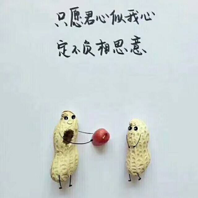 但愿君心似我心