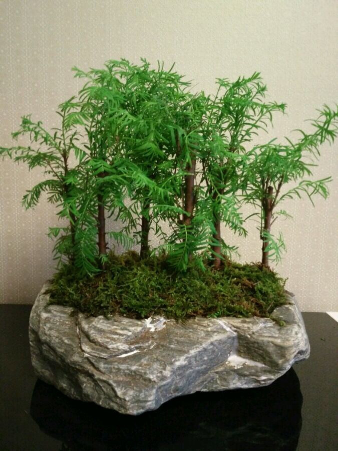 包邮石头花盆原创天然鹅卵石花盆多肉植物