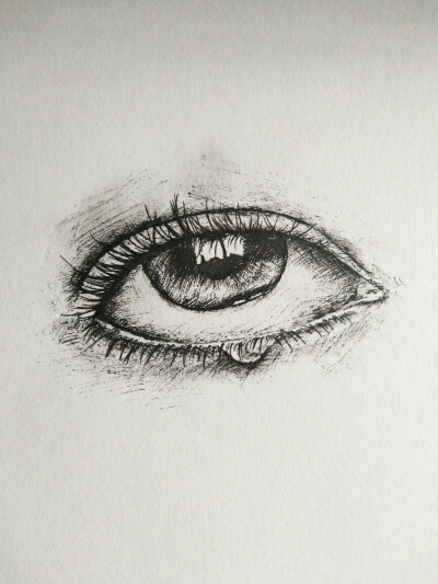 eye