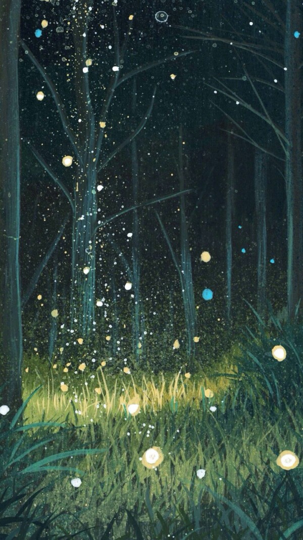 【壁纸】萤火森林 - 堆糖,美图壁纸兴趣社区