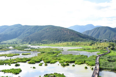 泸沽湖 草海