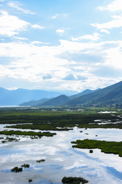 泸沽湖 草海