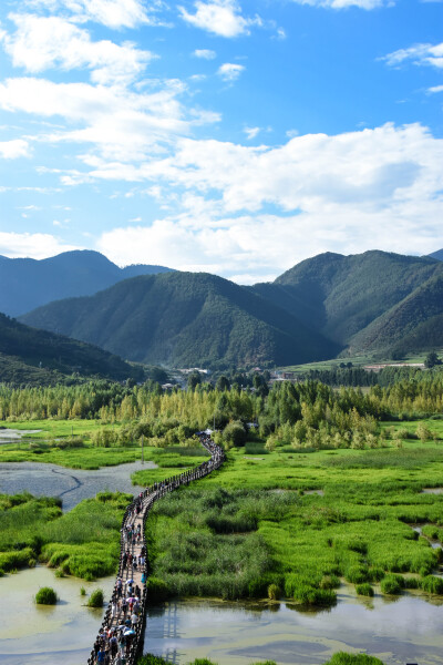 泸沽湖 草海