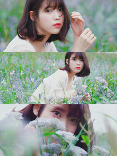 #iu#李智恩#花书签2#图转自微博