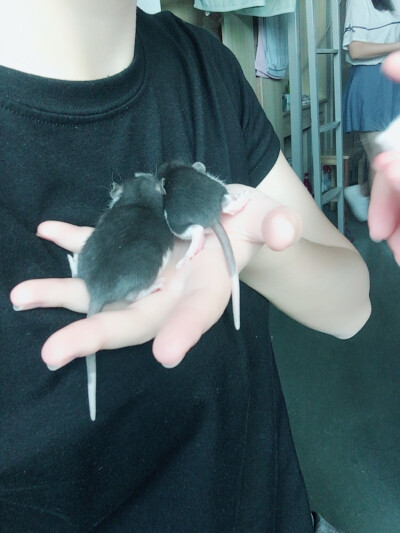 第二胎的小宝宝哇.