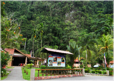 Malaysia Peninsular Caves, Perak, Tempurung
马来西亚半岛，霹雳州属，椰壳洞