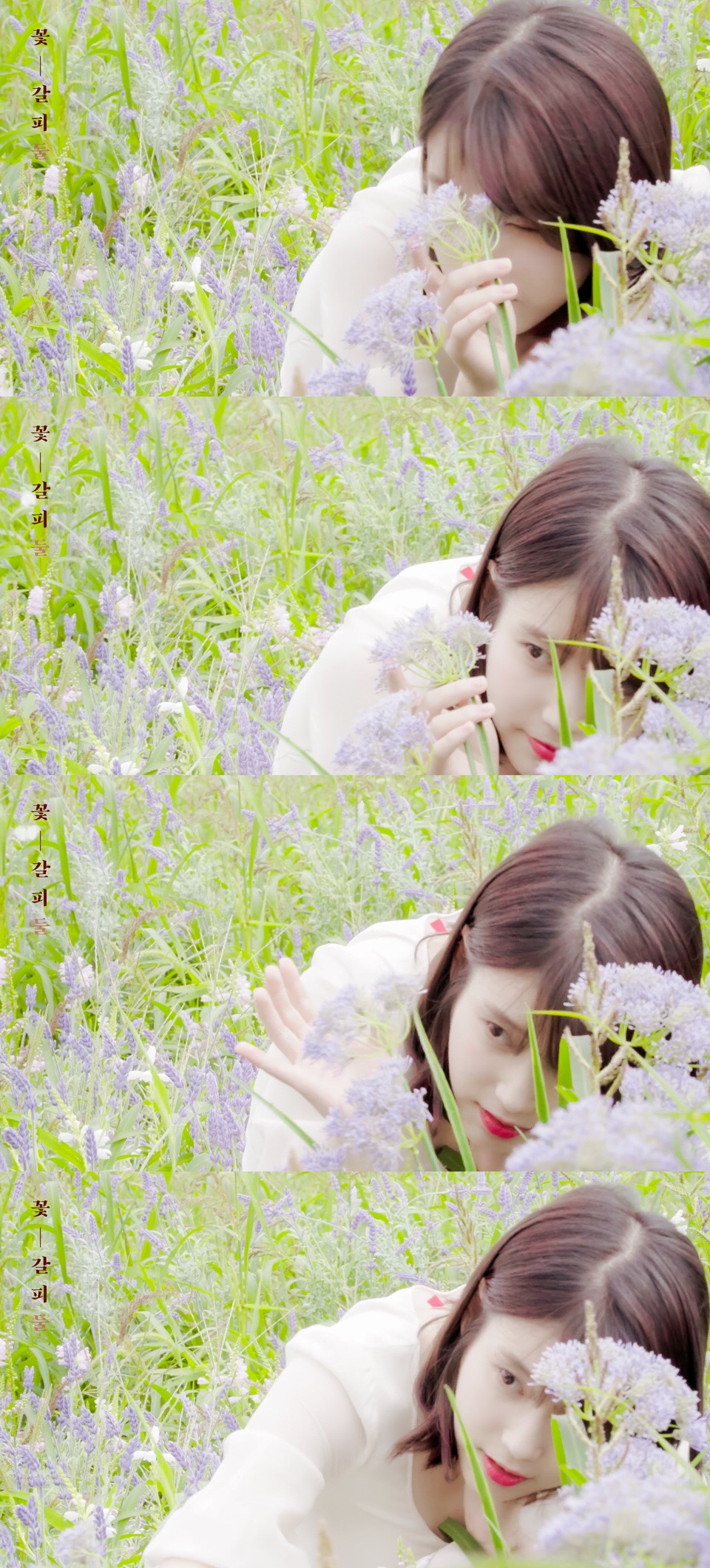 iu李智恩李知恩花书签2cr猩辰叹