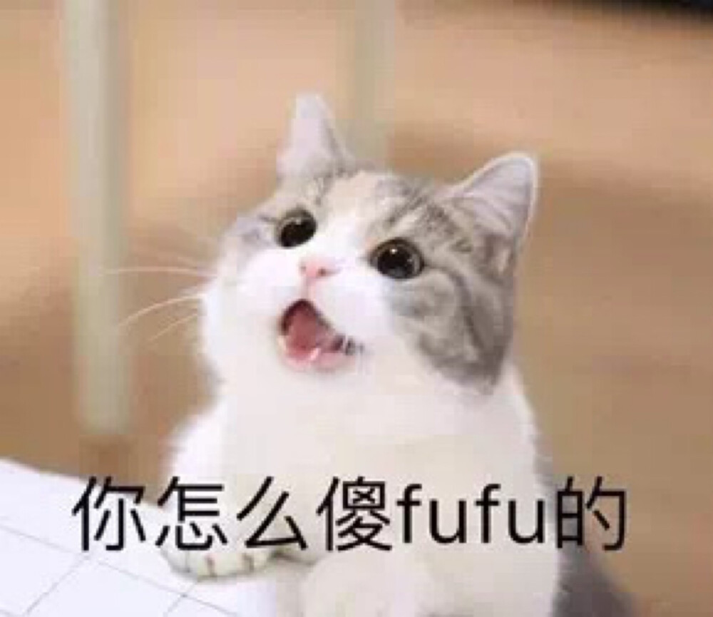 傻fufu