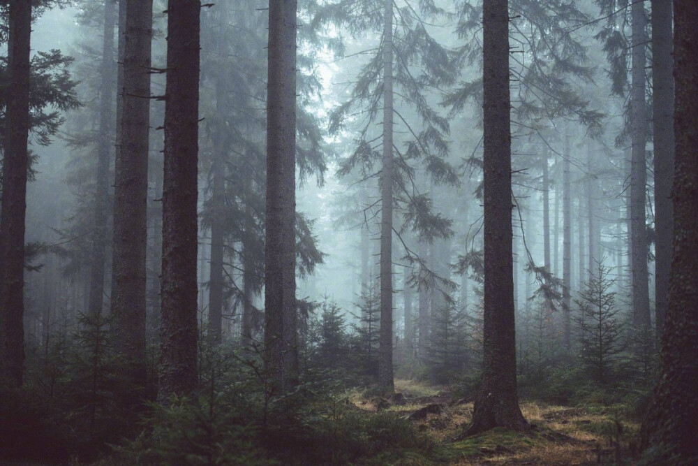 摄影 风景