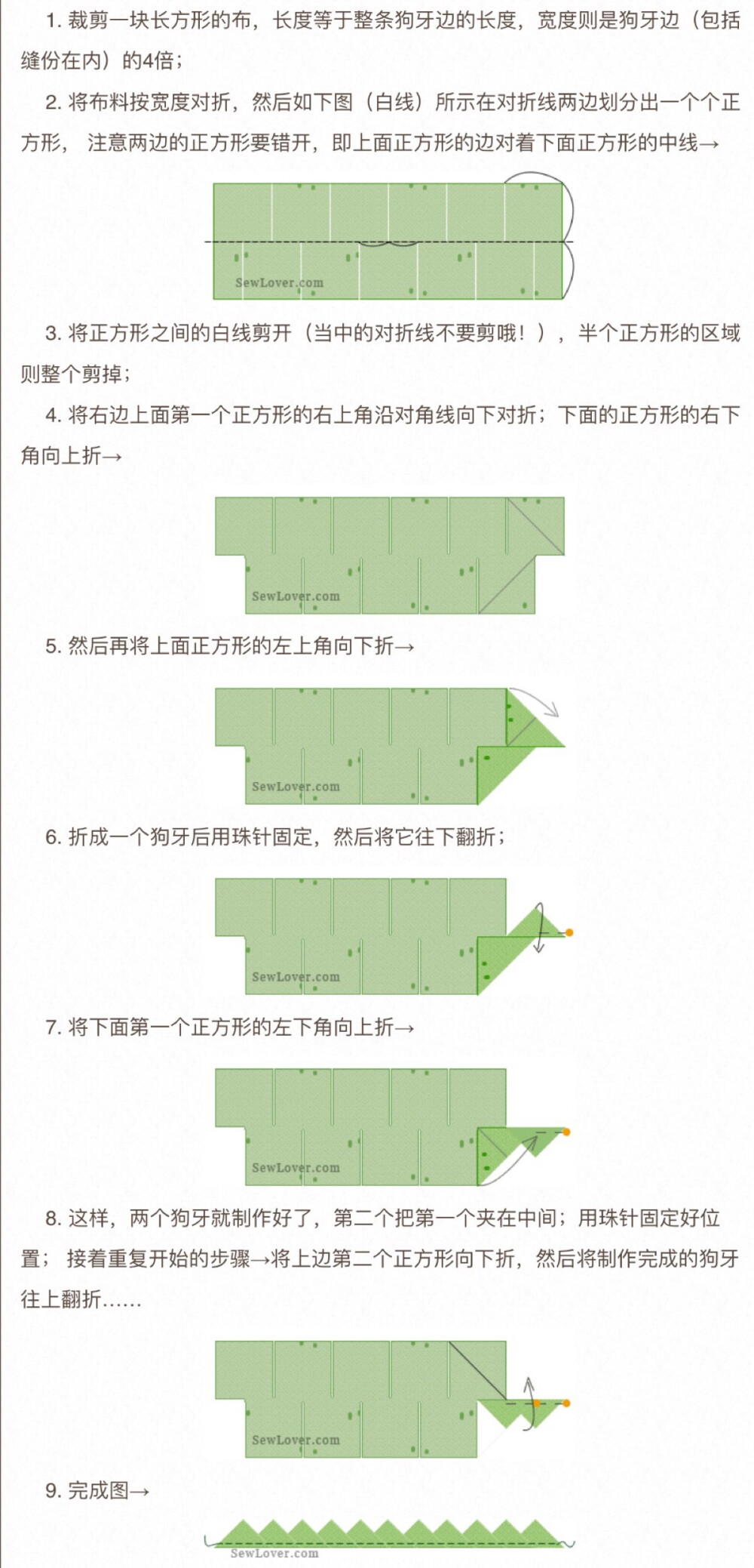 狗牙花边