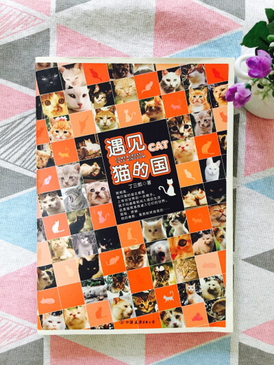 《遇见，猫的国》丁三郎
猫是一种优秀的生物。
独立又优雅，从来不被人类驯养，有着不羁的灵魂。