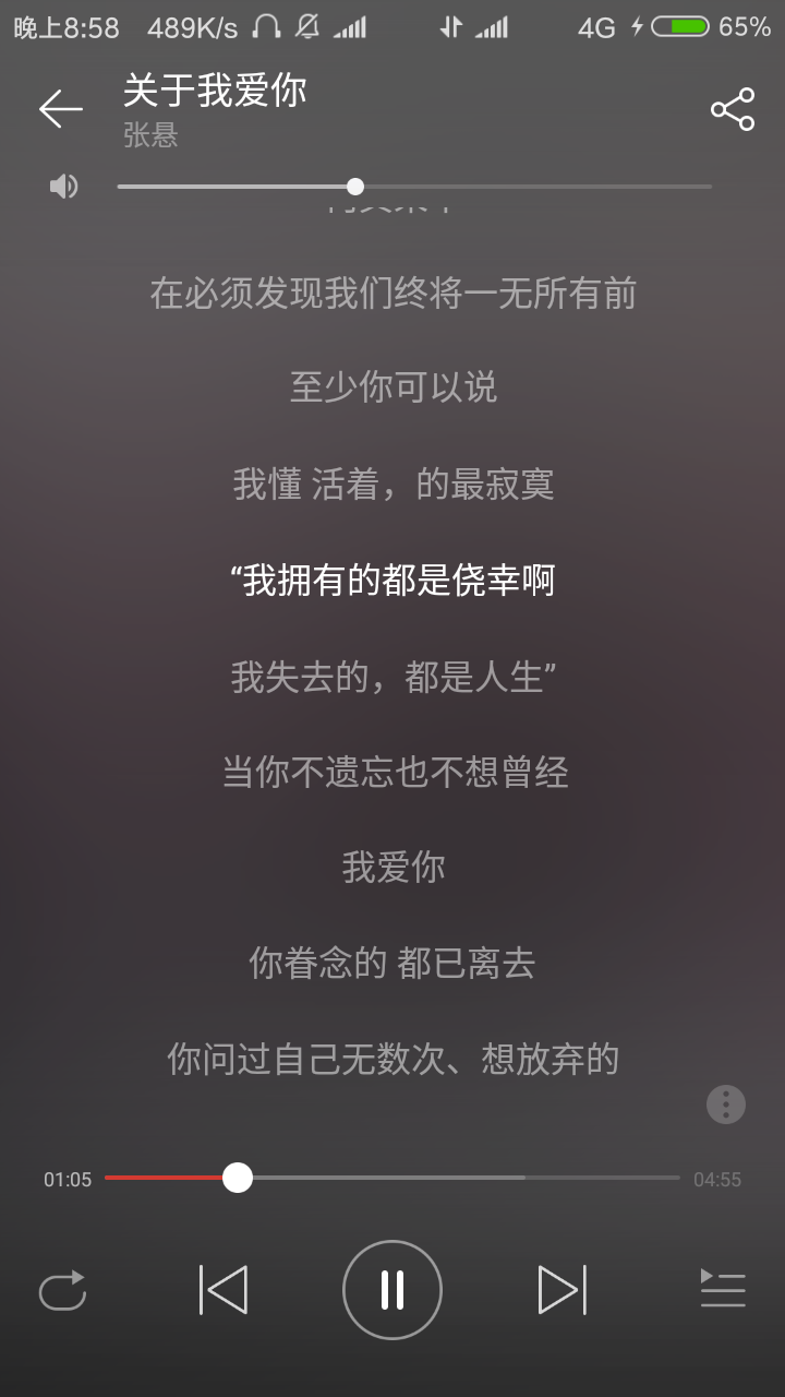 关于我爱你/张悬