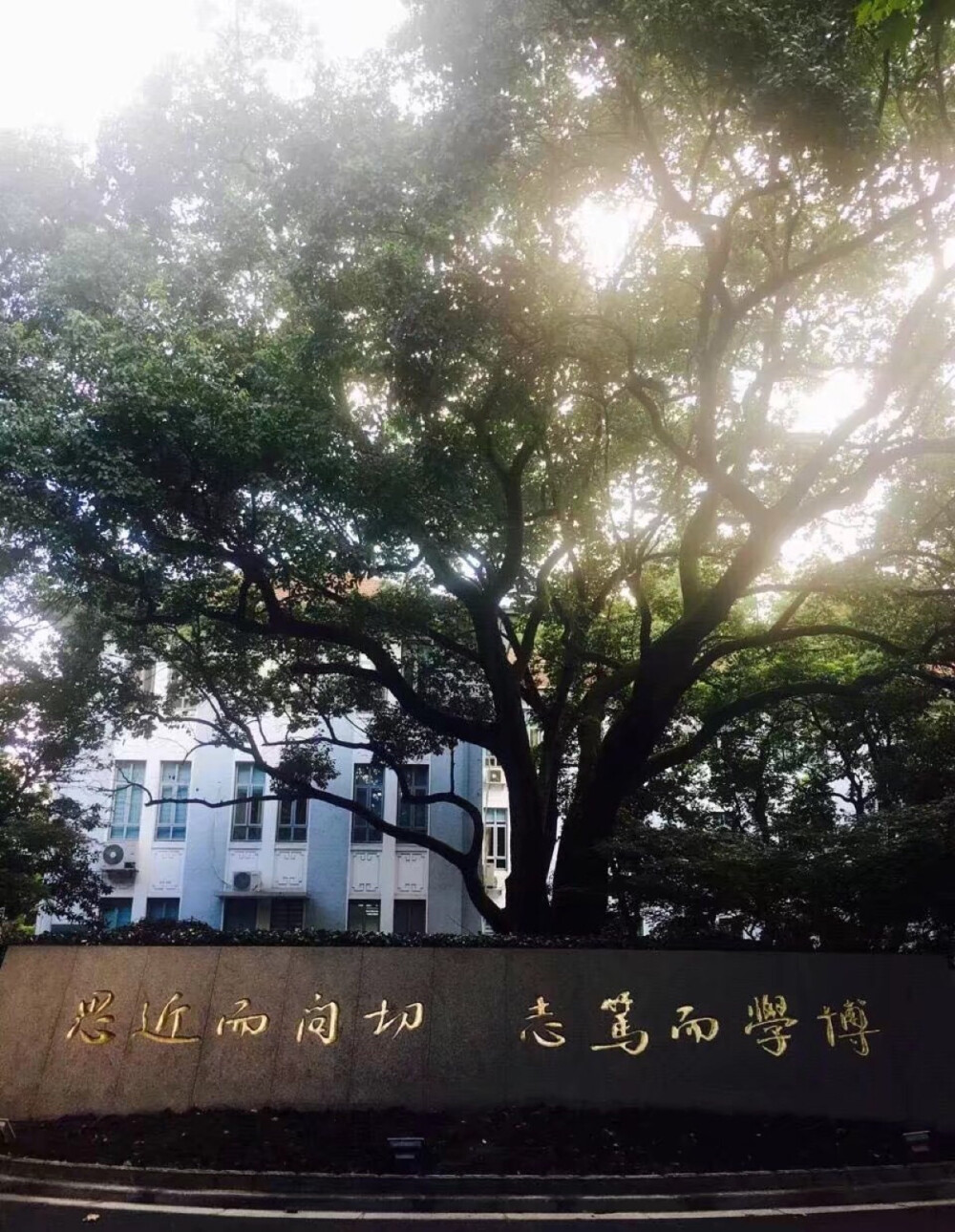 我和你有个约定——复旦大学