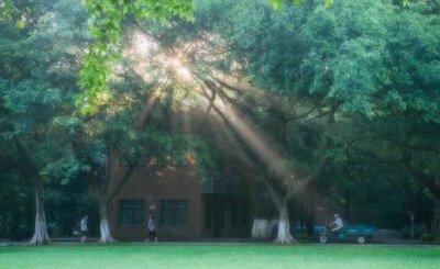 中山大学