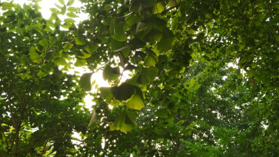 阳光从背后照向前方，你会觉得面前一片阴影；而在别人眼中，你却闪闪发光，耀眼夺目。