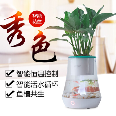 正品包邮宜植爱秀色植物智能花盆自动浇水鱼植机室内水培植物花盆