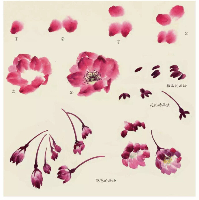 水墨花卉步骤教程绘画学习67676767