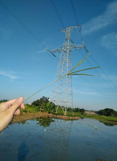 盛夏的晨光