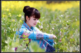 布依族女孩油菜花地里的李昊，也迷人