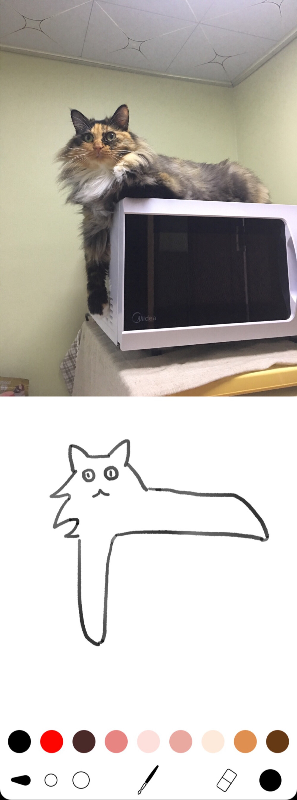 8.20 画猫