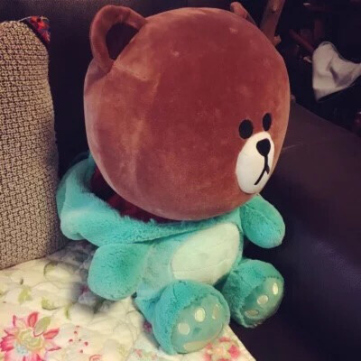 恐龙装布朗