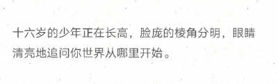 
十六岁的少年正在长高，脸庞的棱角分明，眼睛清亮地追问你世界从哪里开始。