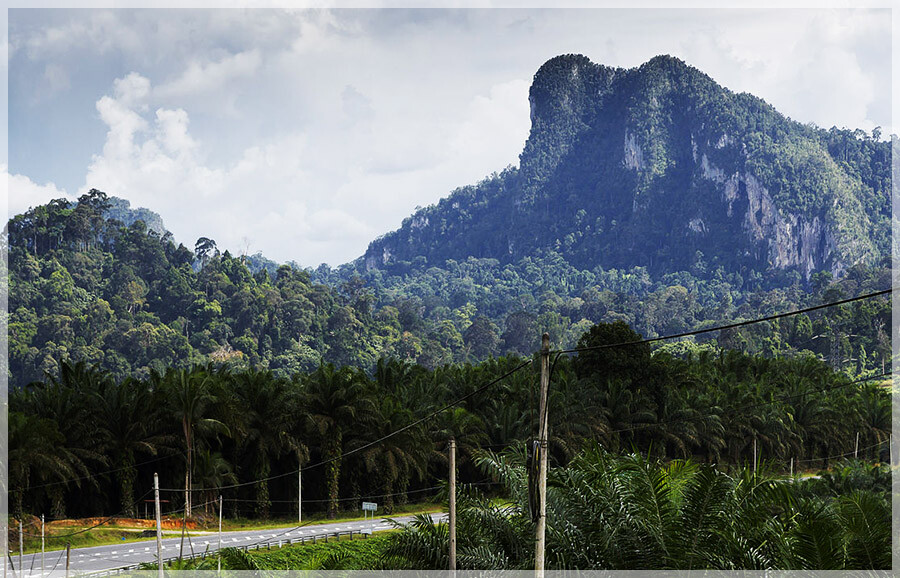 Malaysia Borneo Caves, Sabah, Madai 马来西亚婆罗洲，沙巴州属，马岱洞