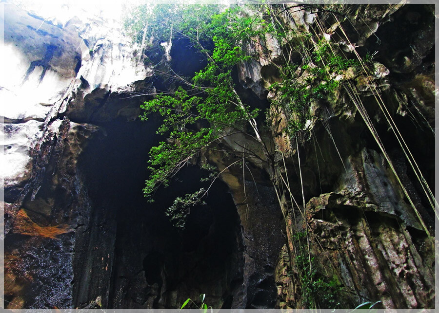 Malaysia Borneo Caves, Sabah, Madai 马来西亚婆罗洲，沙巴州属，马岱洞