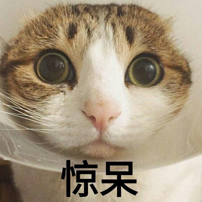 哇偶