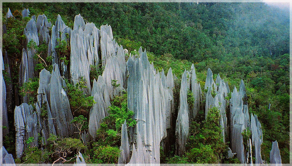malaysiaborneocavessarawakmulu马来西亚婆罗洲砂拉越州属姆禄洞