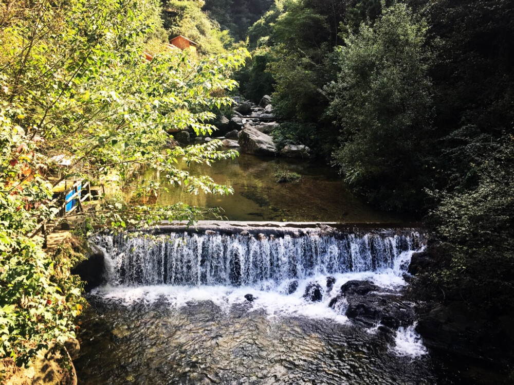 风景这边独好